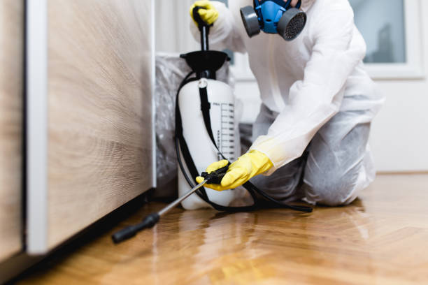 Best Local Pest Control Services  in Santa Anna, TX
