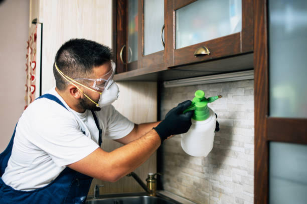 Best Cockroach Control Services  in Santa Anna, TX