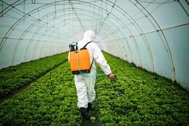 Best Affordable Pest Control Services  in Santa Anna, TX