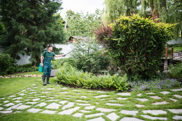 Best Pest Removal Services  in Santa Anna, TX