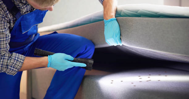 Best Flea Control Services  in Santa Anna, TX