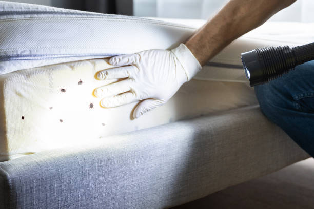 Best Best Pest Control Companies  in Santa Anna, TX