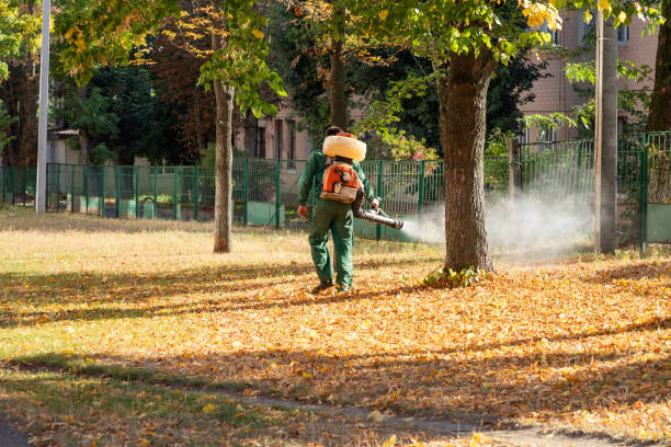 Best Commercial Pest Control Services  in Santa Anna, TX
