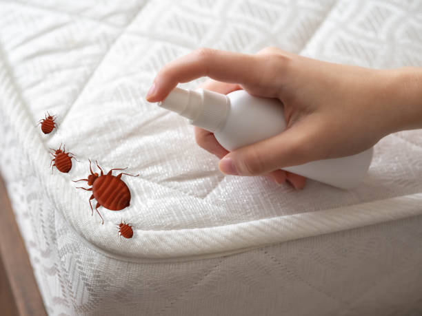 Best Exterminator Services  in Santa Anna, TX