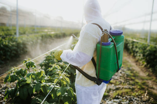 Best Cockroach Control Services  in Santa Anna, TX